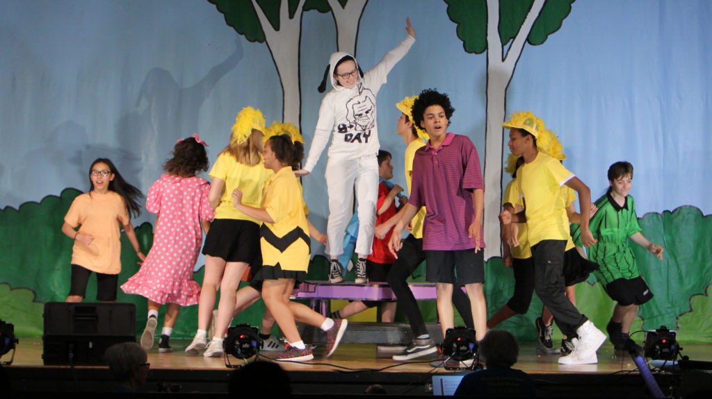 "You're a Good Man, Charlie Brown," the 2017 Project Success produced musical at Anwatin.