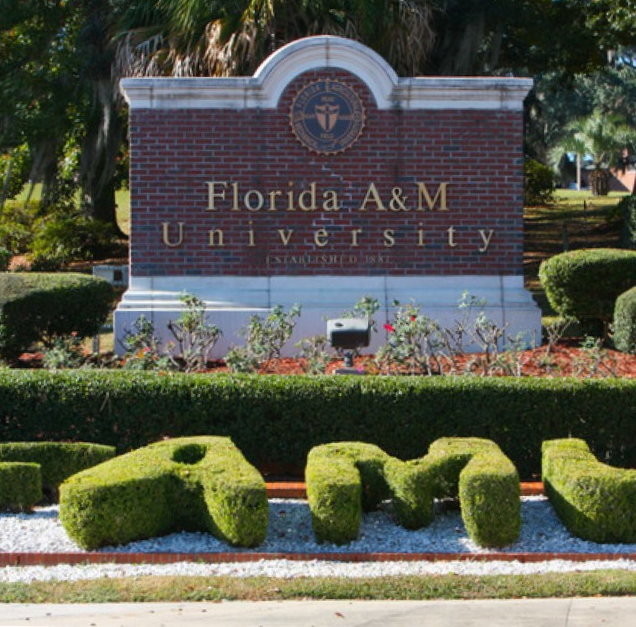 Florida Agricultural And Mechanical University Project Success