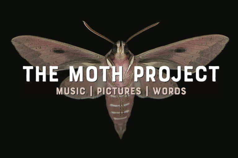 The Moth Project